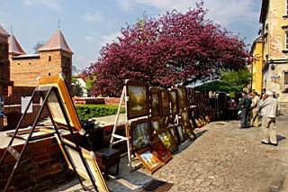Stare Miasto - Kwitn�ce 02