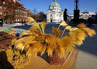 Stare Miasto - suszki