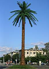 WAWA - Plac De'Gola 01