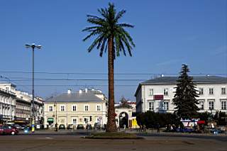WAWA - Plac De'gola 02